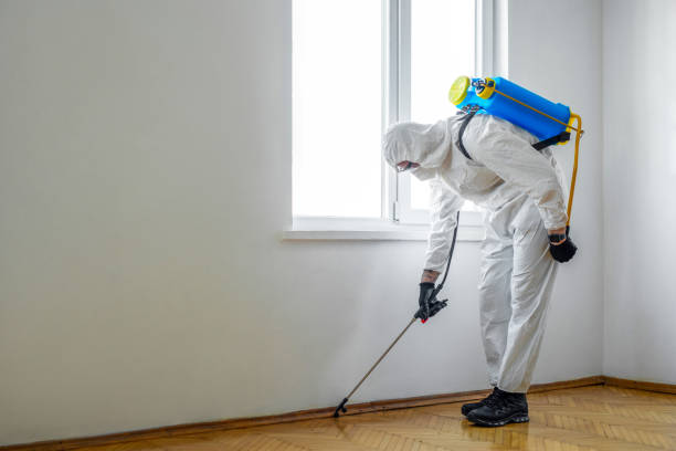 Best Organic or Eco-Friendly Pest Control  in Urbandale, IA